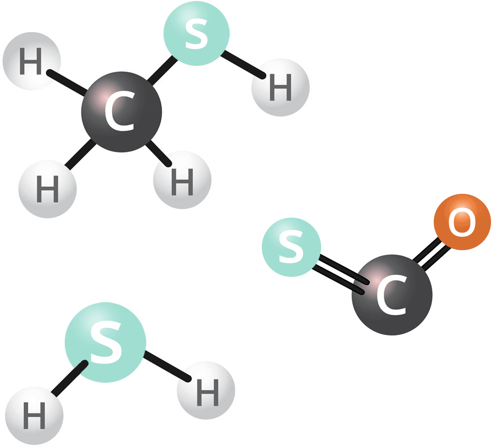 Hydrogen Sulphide and Total Reduced sulphur compounds molecule structure illustration